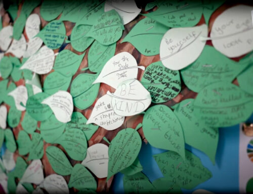 Helping a School Stand Out by Telling a Story About Love, Not Just Results